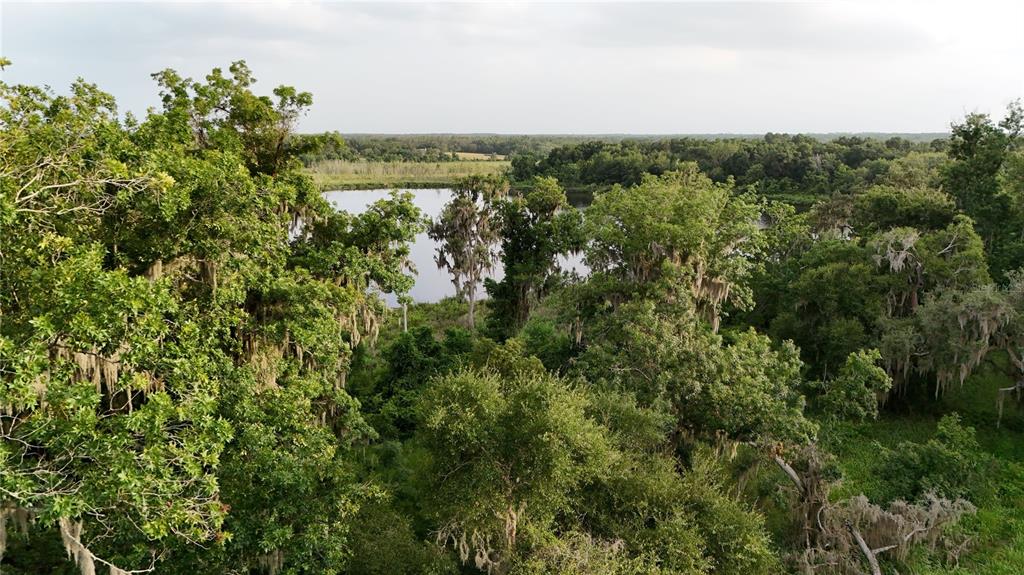 An aerial view shows a small lake surrounded by dense green trees and Spanish moss — 37625 N COUNTY ROAD 44A, EUSTIS, FL