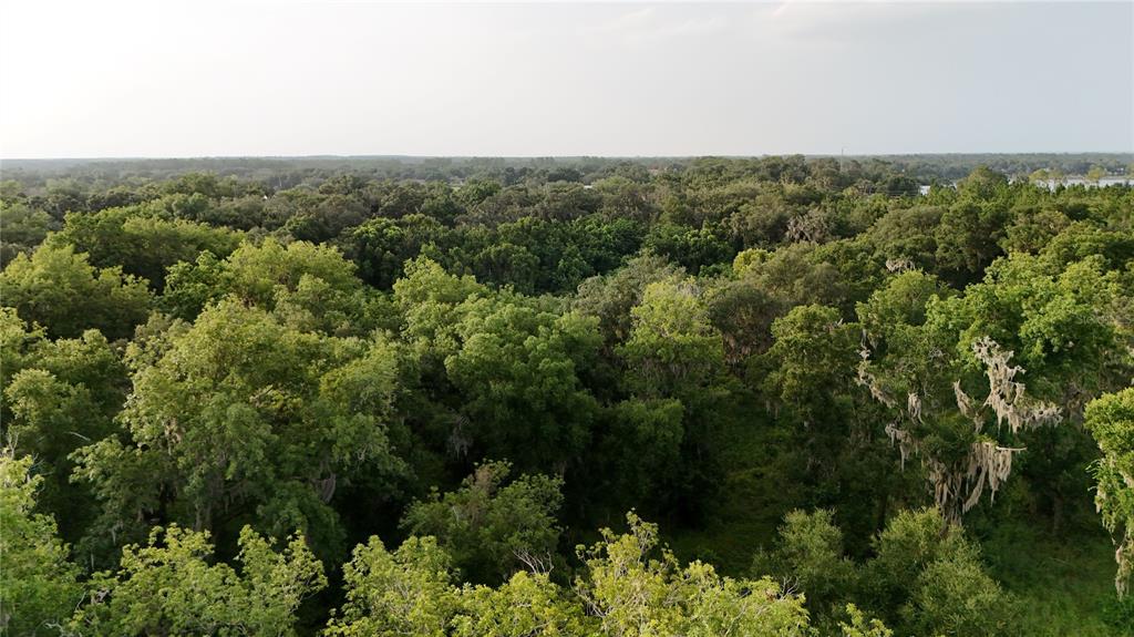 An aerial view shows a dense forest canopy with Spanish moss hanging from the trees — 37625 N COUNTY ROAD 44A, EUSTIS, FL