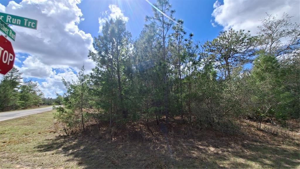 A wooded corner lot features a stop sign and street signs under a sunny sky — FISHER RUN, OCKLAWAHA, FL