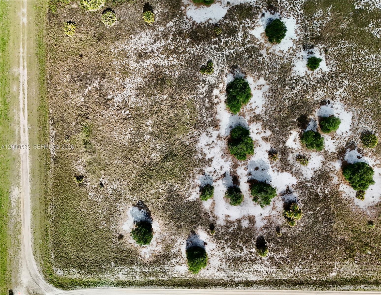 An aerial view shows a sandy, sparsely vegetated plot of land with scattered small trees — 16734 NW 242ND, Okeechobee FL 34972, OKEECHOBEE, FL