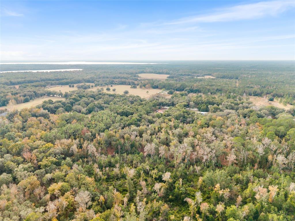 An aerial view shows a dense forest landscape with open fields in the distance — SE 225TH DRIVE, HAWTHORNE, FL