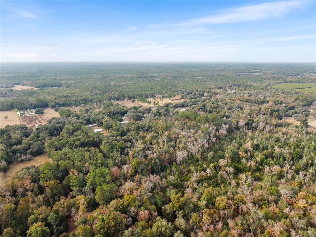 An aerial view shows a dense forest landscape with scattered clearings and small residential structures — SE 225TH DRIVE, HAWTHORNE, FL