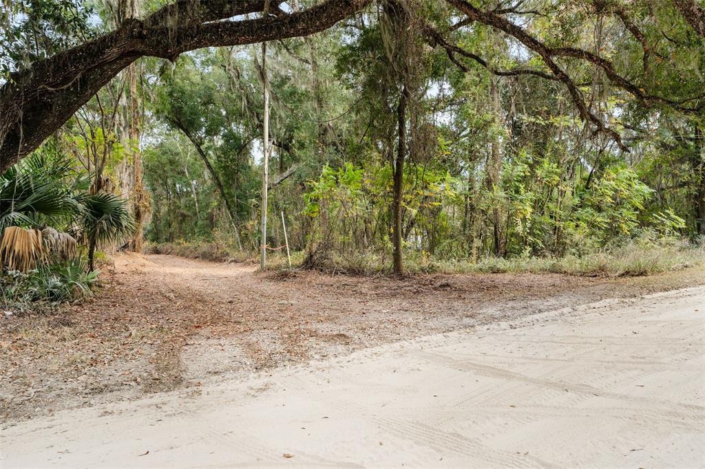 A dirt road leads into a wooded area with large trees and hanging Spanish moss — SE 225TH DRIVE, HAWTHORNE, FL