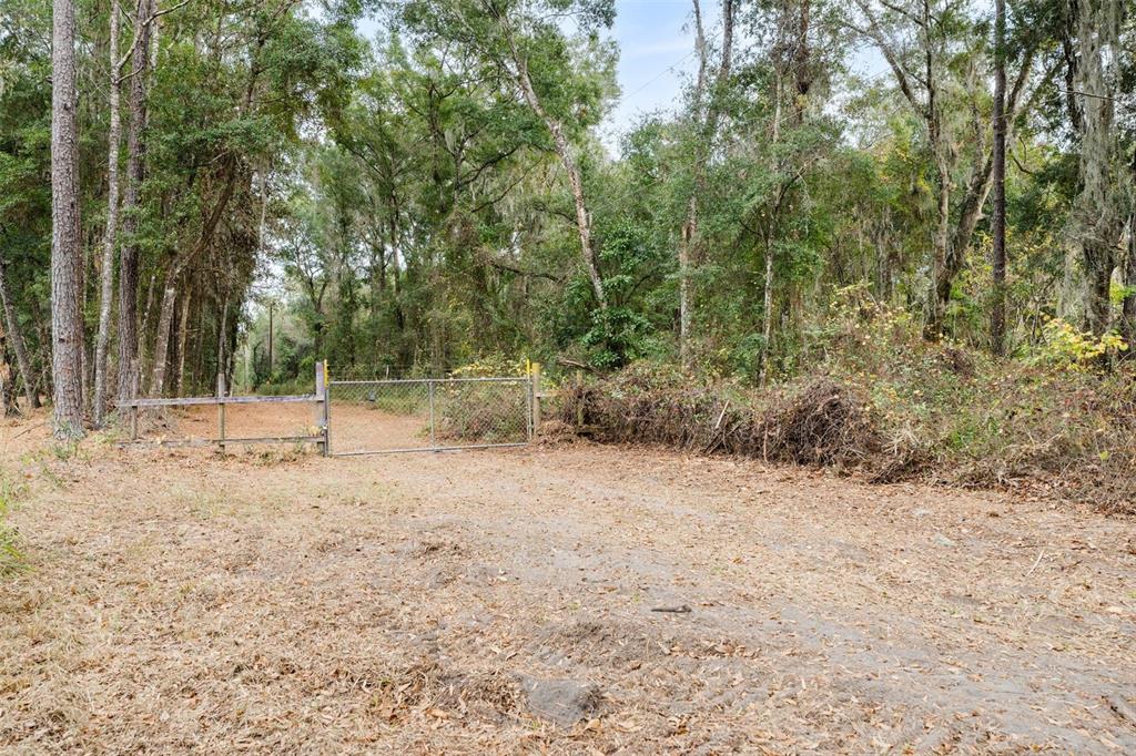 A chain-link gate stands at the entrance of a dirt path leading into a forest — SE 225TH DRIVE, HAWTHORNE, FL
