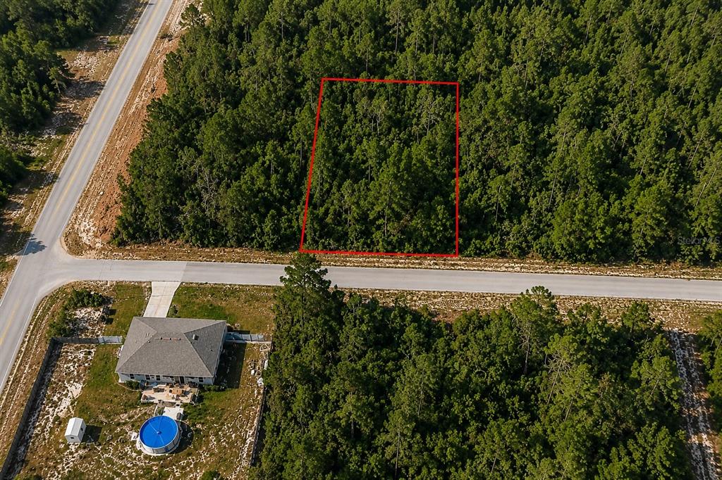 An aerial view shows a rectangular plot of wooded land outlined in red near a road — 8332 N FARRINGTON DRIVE, CITRUS SPRINGS, FL