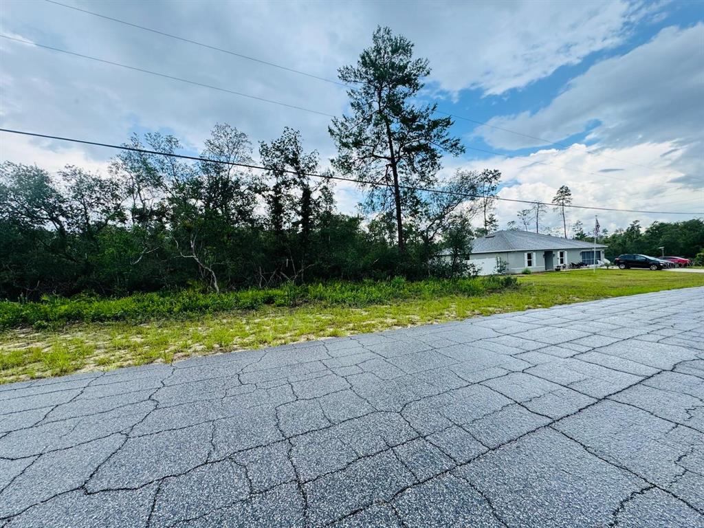 A paved road sits in the foreground before a vacant, wooded lot and a neighboring house — 8332 N FARRINGTON DRIVE, CITRUS SPRINGS, FL