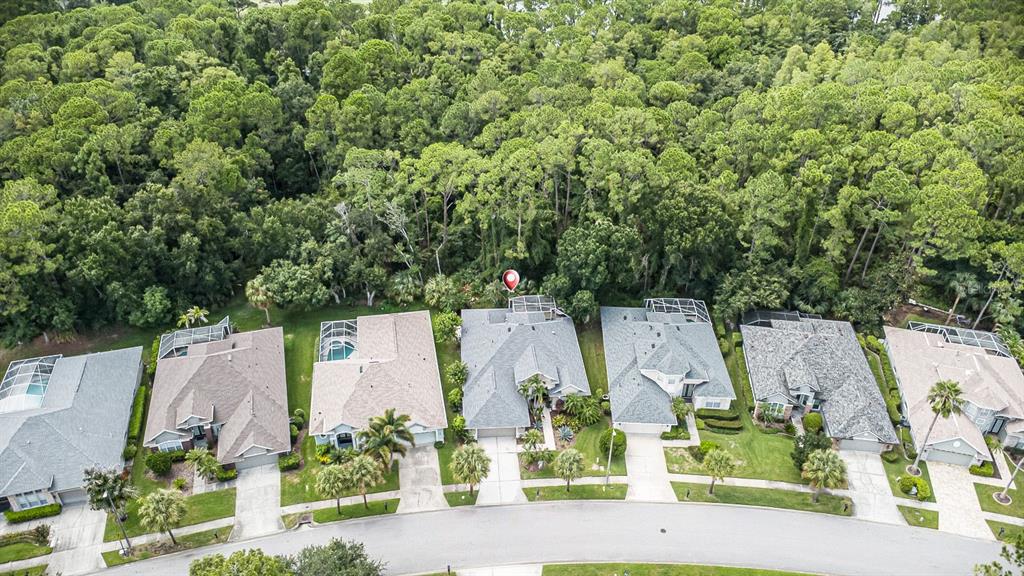 An aerial view shows a row of suburban houses with screened pools bordering a dense forest — 9814 GRETNA GREEN DRIVE, TAMPA, FL