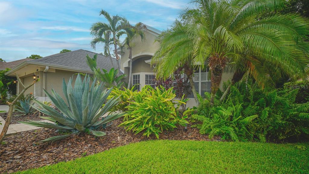 A single-story house exterior features a landscaped front yard with palm trees and large succulents — 9814 GRETNA GREEN DRIVE, TAMPA, FL