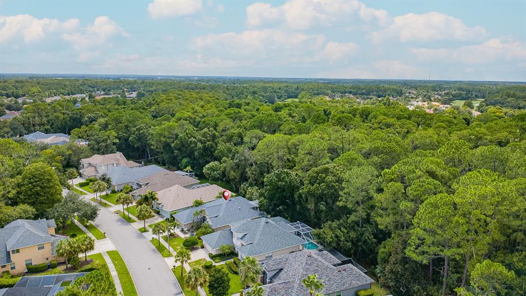 An aerial view shows a suburban neighborhood with houses nestled against a dense forest — 9814 GRETNA GREEN DRIVE, TAMPA, FL