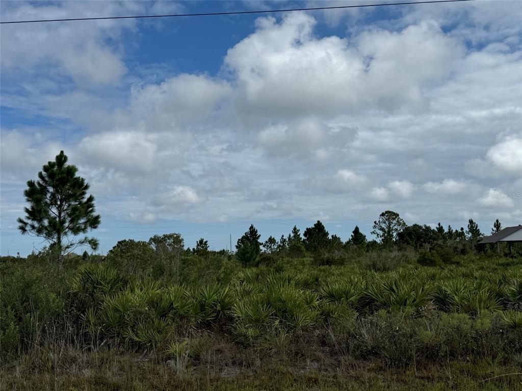 18619 NW 248TH STREET, OKEECHOBEE, FL — photo 2 of 11