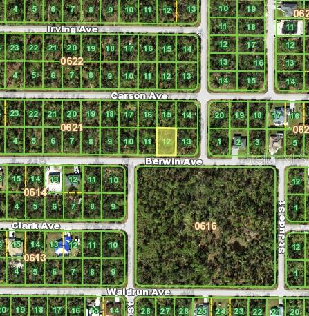 This is a satellite map showing residential land parcels and street names in a neighborhood — 17132 BERWIN AVENUE, PORT CHARLOTTE, FL