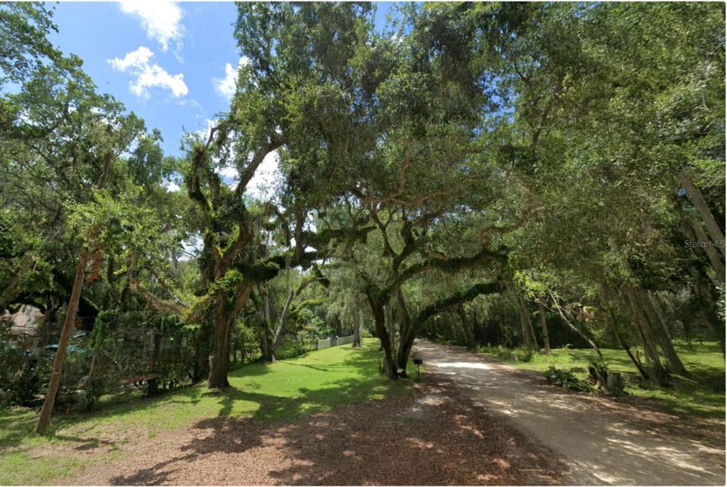 A dirt road winds through a grassy area shaded by large, moss-covered oak trees — 111 HERNANDEZ AVENUE, PALM COAST, FL
