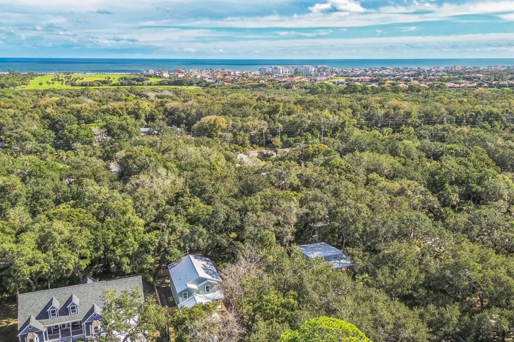 An aerial view shows houses nestled among dense trees with the ocean in the distance — 111 HERNANDEZ AVENUE, PALM COAST, FL