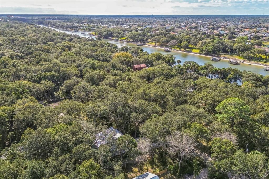 An aerial view shows a wooded residential area bordering a river with several boat docks — 111 HERNANDEZ AVENUE, PALM COAST, FL