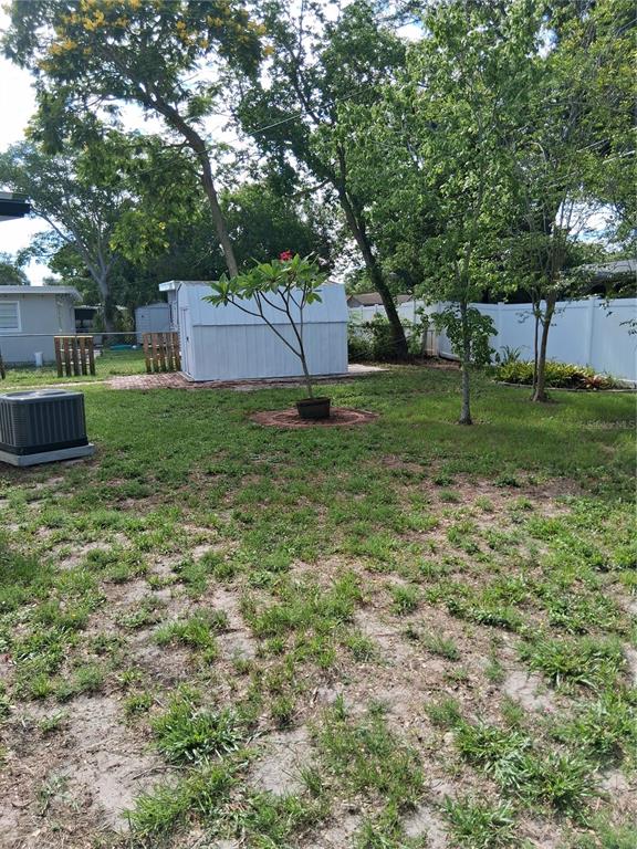 A backyard features a white storage shed, a small potted tree, and a central air unit — 1603 SCOTT STREET, CLEARWATER, FL