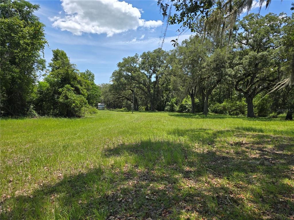 A grassy, open lot features mature oak trees and a small trailer in the distance — 7563 SE COUNTY ROAD 405, BRANFORD, FL