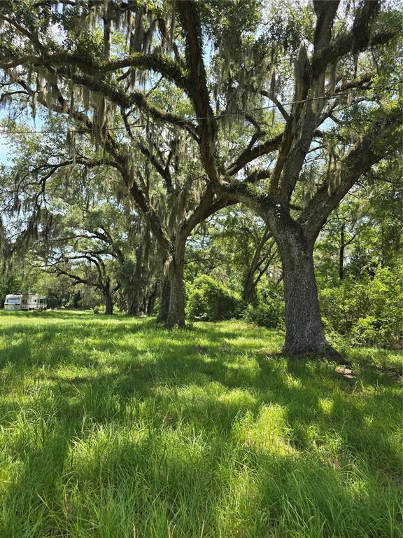 A grassy field features several large, moss-draped oak trees with a camper parked in distance — 7563 SE COUNTY ROAD 405, BRANFORD, FL