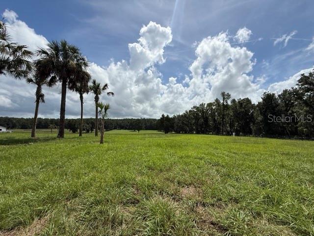 A large, grassy field features several palm trees and a line of trees in the distance — TBD HWY 329, REDDICK, FL