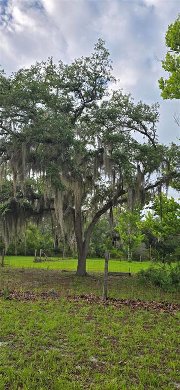A large oak tree draped in Spanish moss stands in a grassy, fenced-in yard — 6150 SW 126TH AVENUE, CEDAR KEY, FL