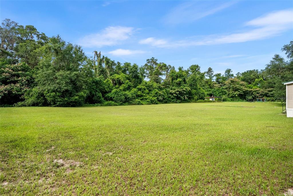 A large, grassy backyard bordered by a dense line of mature trees under a blue sky — 4296 SE COUNTY ROAD 18, LAKE CITY, FL