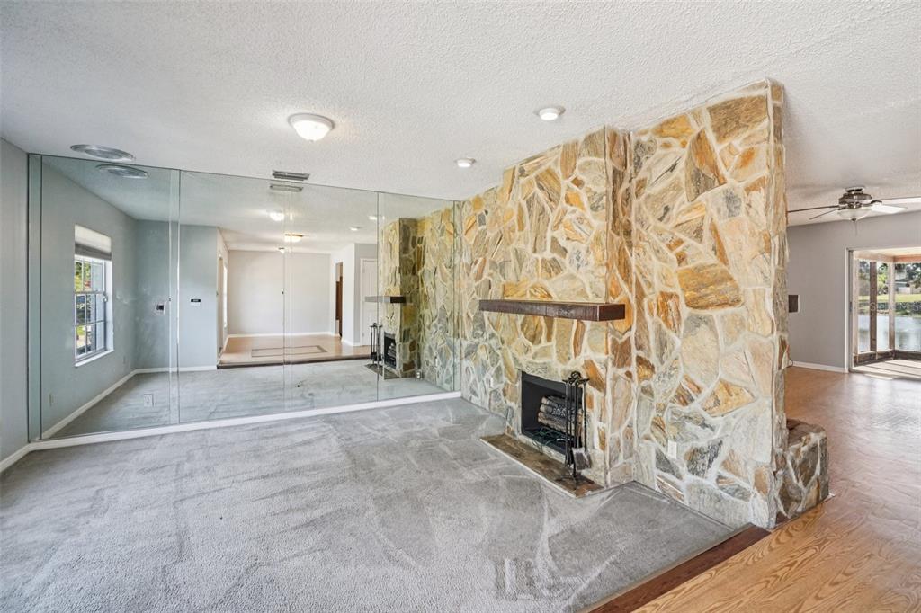 A living room features a stone fireplace, mirrored walls, and gray carpet flooring — 2024 W SITKA STREET, TAMPA, FL