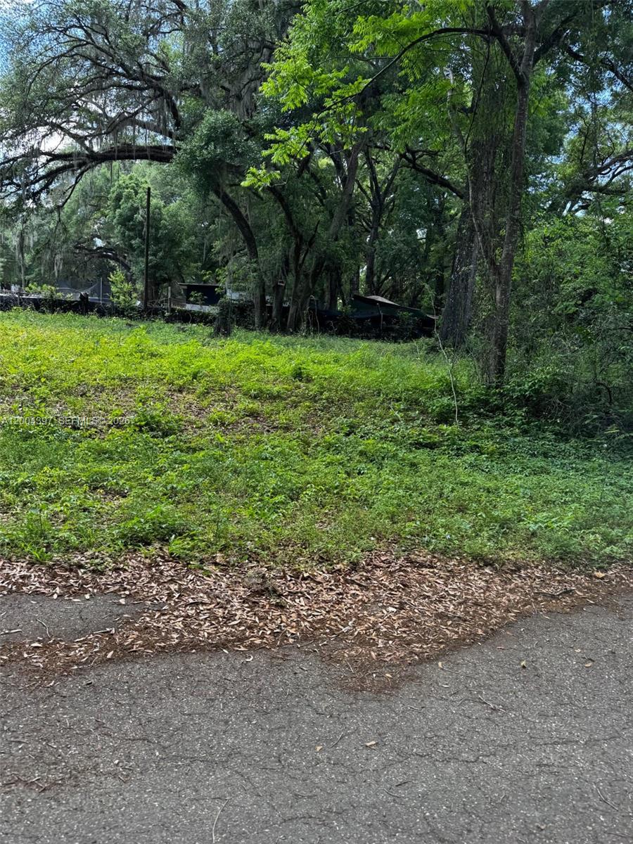 A vacant, overgrown lot with trees and shrubs sits next to an asphalt road — 0 NW 60 ct, Ocala FL 34482, OCALA, FL