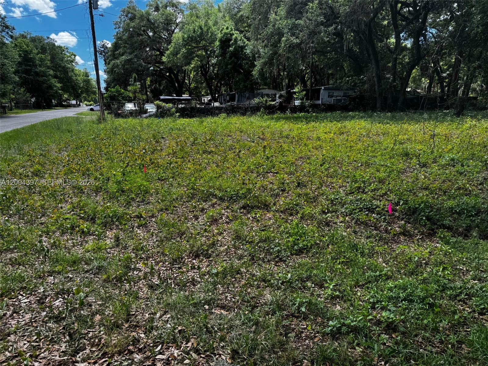 A vacant, grassy lot with scattered trees and two small survey flags — 0 NW 60 ct, Ocala FL 34482, OCALA, FL