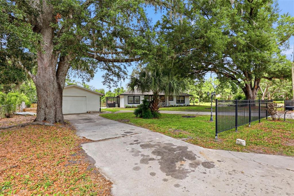 A white house with a detached garage sits behind a concrete driveway and large trees — 30151 LYNNE DRIVE, WESLEY CHAPEL, FL