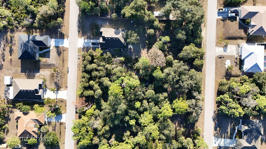 This aerial view shows a wooded residential lot situated between two paved streets — SPARKLE LANE, NORTH PORT, FL