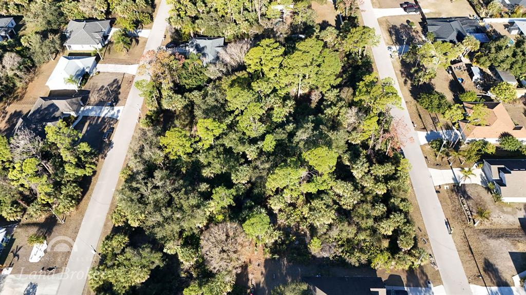 An aerial view shows a wooded, undeveloped rectangular lot situated between two paved residential streets — SPARKLE LANE, NORTH PORT, FL