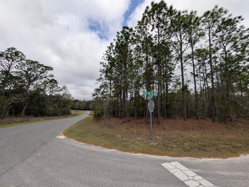 A paved road intersection features a street sign and a wooded lot under a cloudy sky — SW 62ND PLACE, OCALA, FL