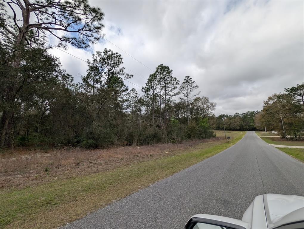 A paved road runs alongside a wooded, undeveloped lot under a cloudy sky — SW 62ND PLACE, OCALA, FL