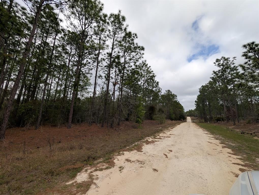 A dirt road runs alongside a wooded area under a cloudy sky — SW 62ND PLACE, OCALA, FL