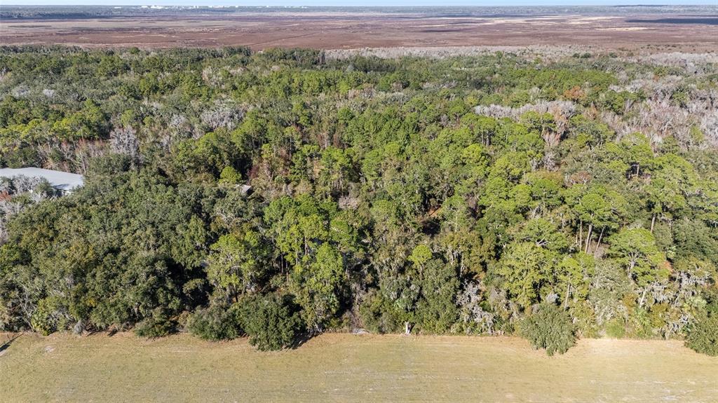 102 SW 109TH PLACE, MICANOPY, FL — photo 2 of 14