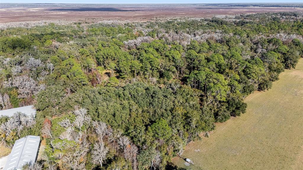 102 SW 109TH PLACE, MICANOPY, FL — photo 3 of 14