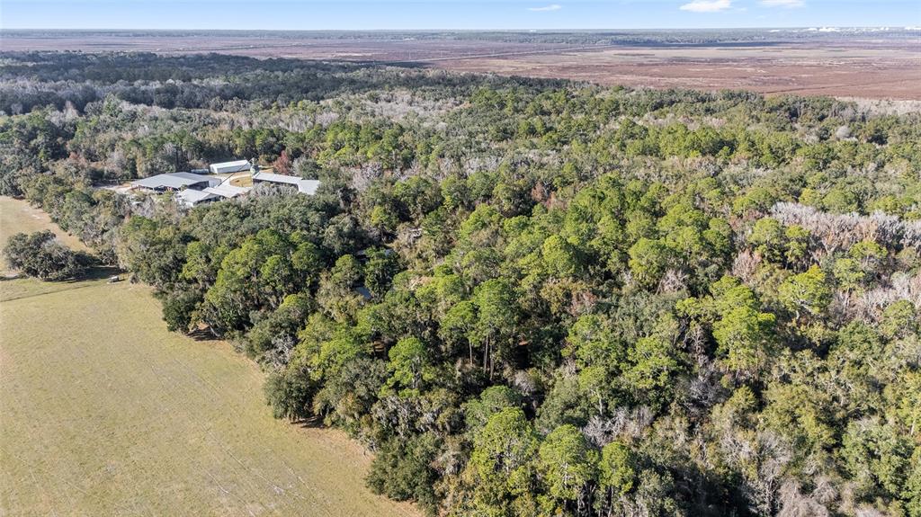 102 SW 109TH PLACE, MICANOPY, FL — photo 4 of 14