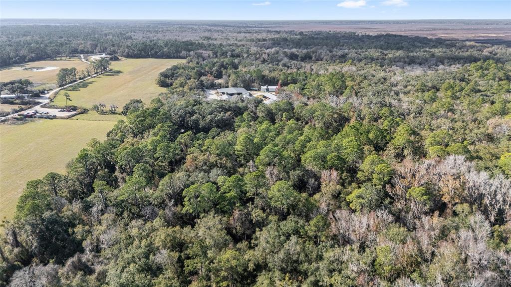 102 SW 109TH PLACE, MICANOPY, FL — photo 5 of 14