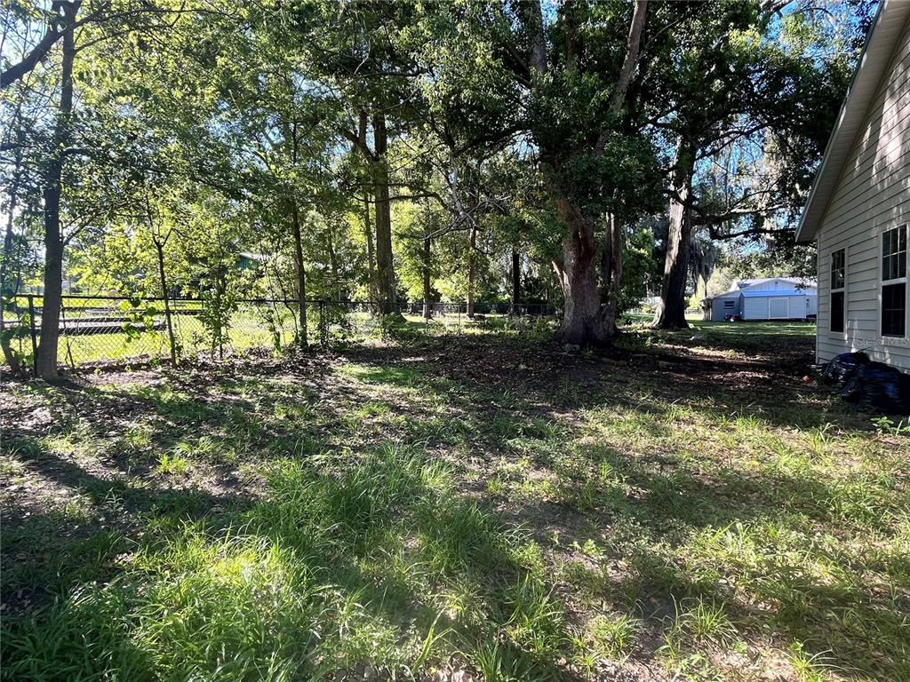 A grassy backyard features large mature trees, a chain-link fence, and the side of a house — 15704 NW 140TH STREET, ALACHUA, FL