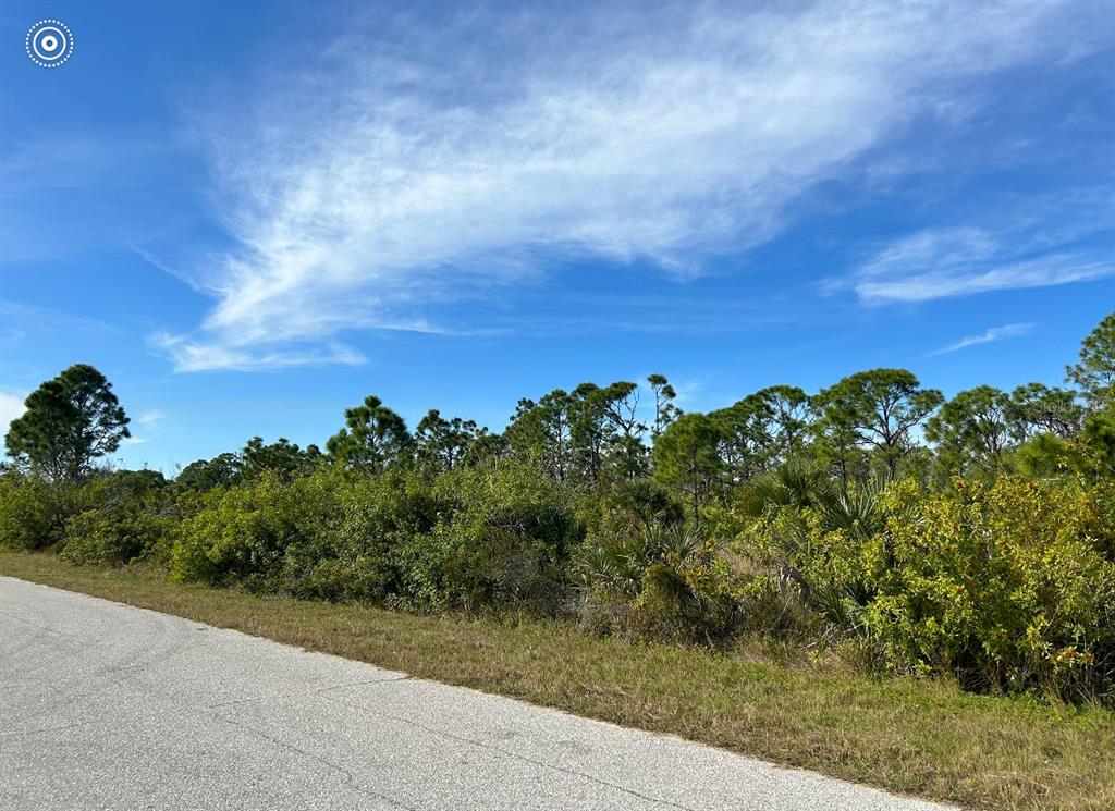 A paved road runs alongside a vacant lot covered in dense trees and shrubs — 16268 RENNIE ROAD, PORT CHARLOTTE, FL