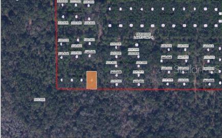 An aerial map view shows a highlighted rectangular land parcel within a wooded residential subdivision — PARADISE LAKES AVENUE, GEORGETOWN, FL