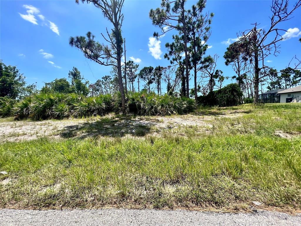A vacant, grassy lot with scattered pine trees and palmetto bushes under a blue sky — 228 FAIRWAY ROAD, ROTONDA WEST, FL