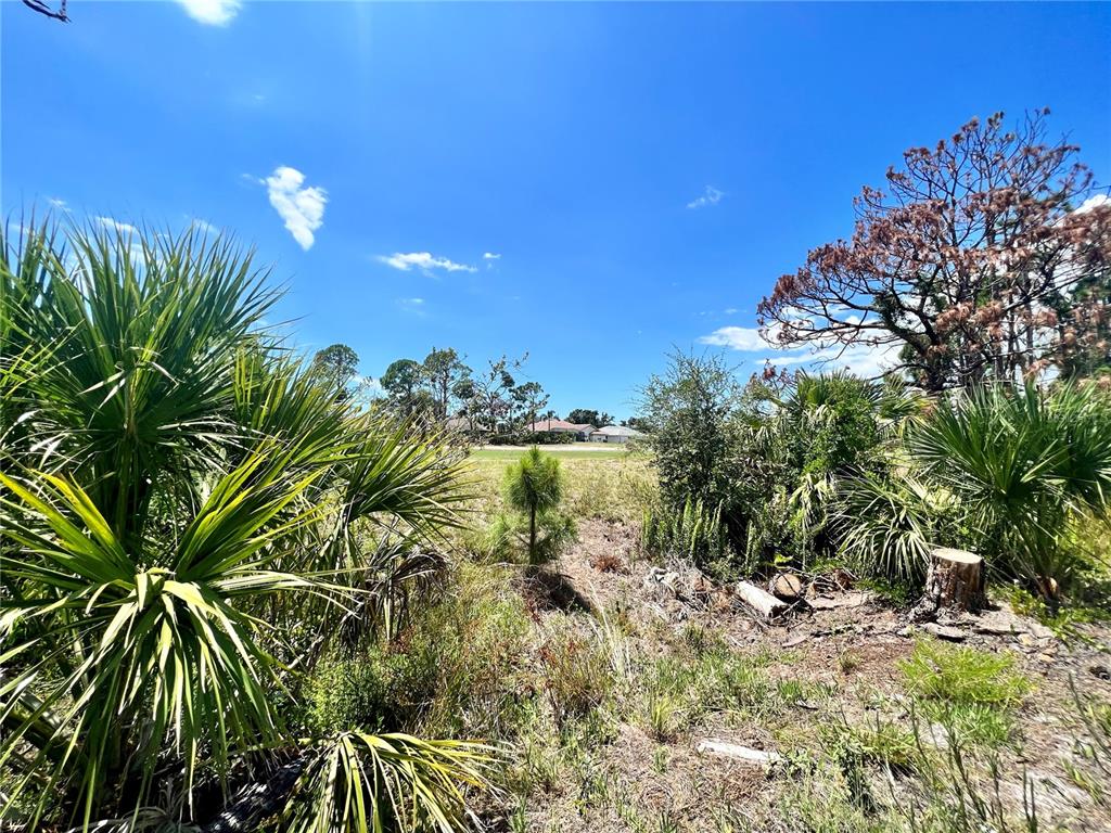 A grassy, undeveloped lot features native palm trees and shrubs under a clear blue sky — 228 FAIRWAY ROAD, ROTONDA WEST, FL