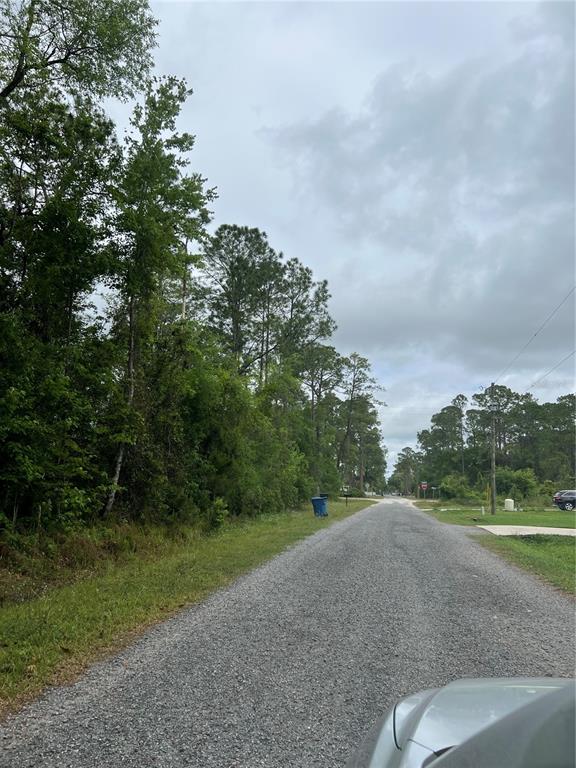 A gravel road runs alongside a wooded area under a cloudy sky — 8TH AVENUE, DELAND, FL