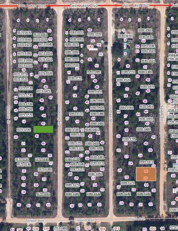 This is a satellite map showing residential land parcels organized into blocks with street names — 00 SALEM STREET, INTERLACHEN, FL