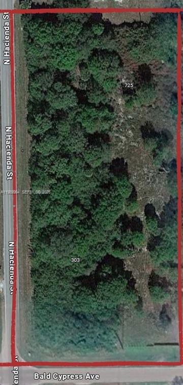 303 Bald Cypress, Clewiston FL 33440