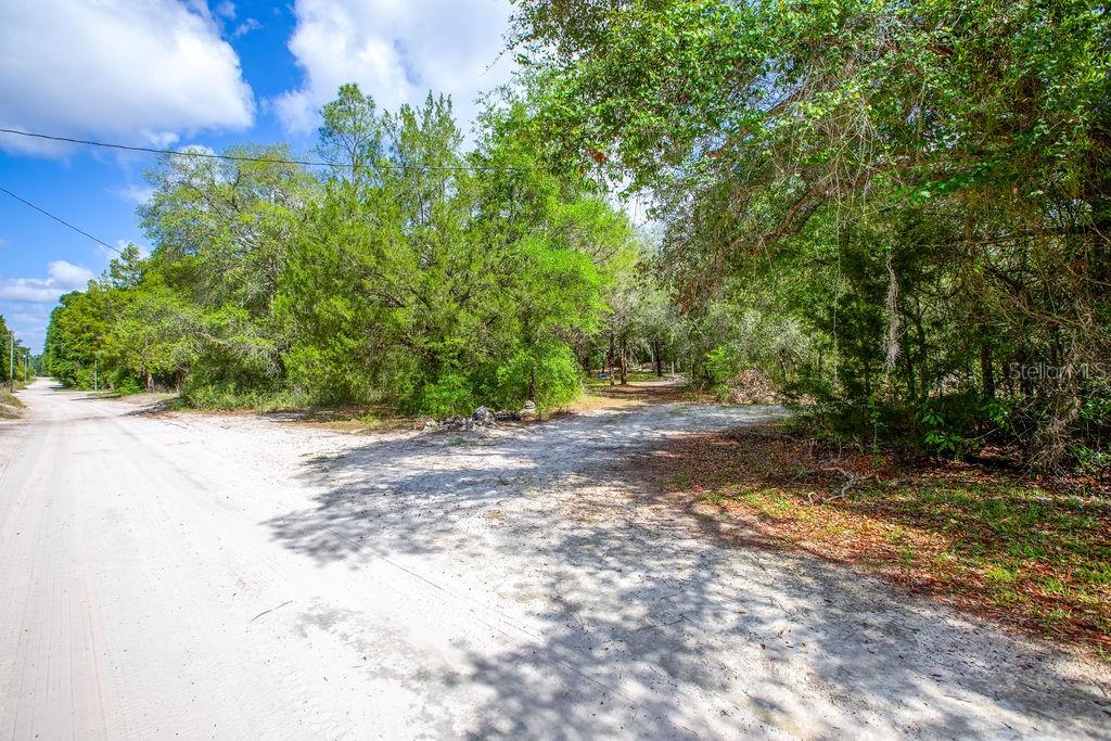 A dirt road leads to a wooded, undeveloped lot under a bright blue sky — 5350 SE 3RD LANE, TRENTON, FL