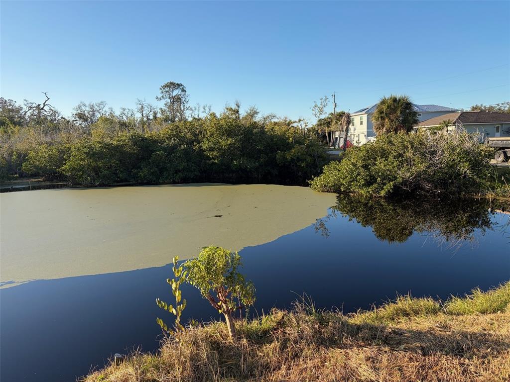 A pond with a layer of green algae sits in front of trees and houses — 8195 PINE TREE LANE, ENGLEWOOD, FL