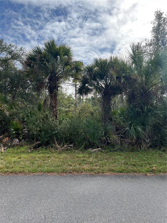 A dense thicket of Florida palm trees and native vegetation fills the frame — 14059 HUGHES AVENUE, PORT CHARLOTTE, FL