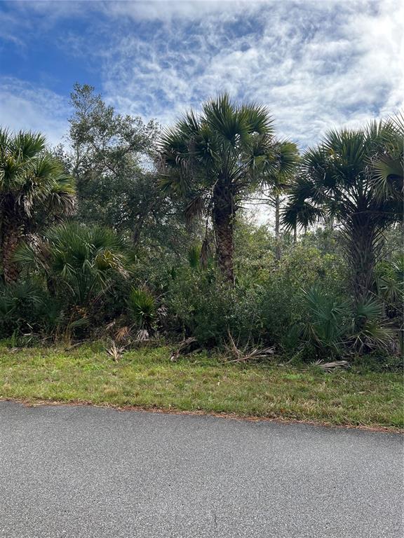 An aerial view shows a dense, wooded lot with tall pine trees and thick underbrush — 14059 HUGHES AVENUE, PORT CHARLOTTE, FL