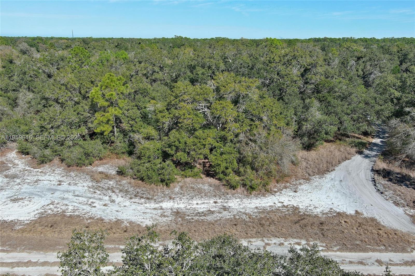 An aerial view shows a sandy dirt road bordering a dense forest of trees — 0 Ames Ave, North Port FL 34291, NORTH PORT, FL